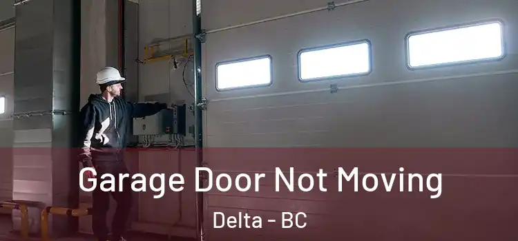  Garage Door Not Moving Delta - BC