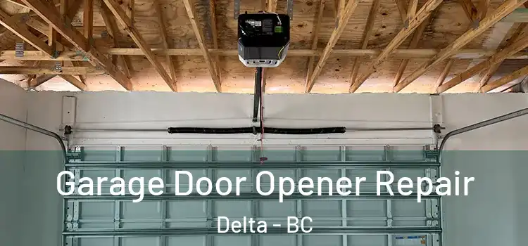  Garage Door Opener Repair Delta - BC