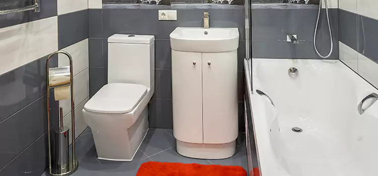 Hansgrohe Shaving Mirror Delta