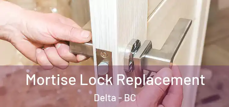 Mortise Lock Replacement Delta - BC