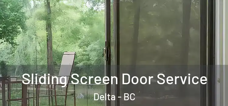 Sliding Screen Door Service Delta - BC